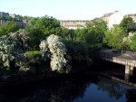 View from the Kelvin Bridge