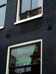 The Dog Wants to Smoke Some Herb