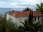 The View from our Disco Pornography Hostel