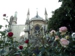 My Favorite Paris Foto