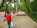 Walking down Paseo de la Reforma.  It's a pretty street.