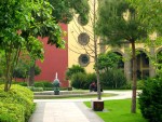 More of Vicente's back yard