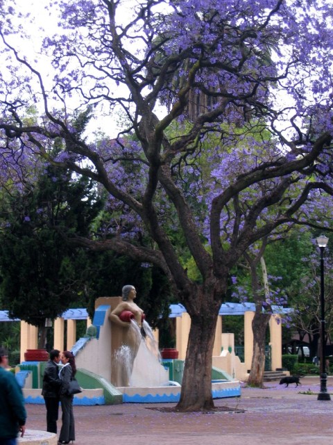 Some cool purple tree, a woman pouring water out of her boobies, and people about to kiss.  What more could you possibly want!?