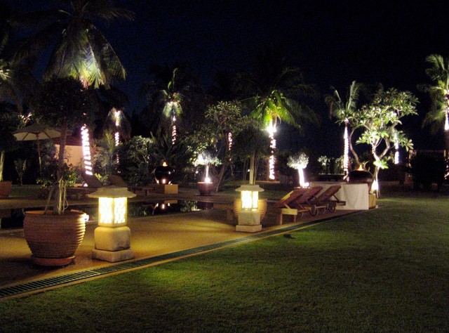 Nighttime in the backyard