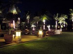 Nighttime in the backyard