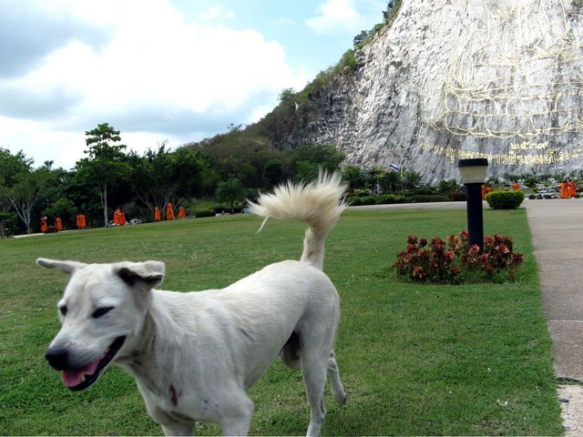 Wickedly Worshipful Woofer