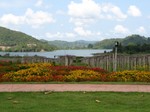 At the vineyard