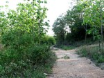 Wonder which path gets us home